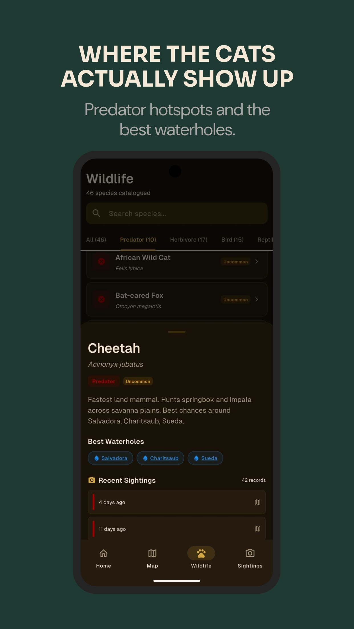 Lion sighting cluster on the map